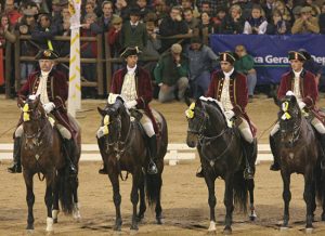 Andalusian and Lusitano Horses of Spain and Portugal