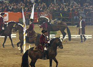 Andalusian and Lusitano Horses of Spain and Portugal
