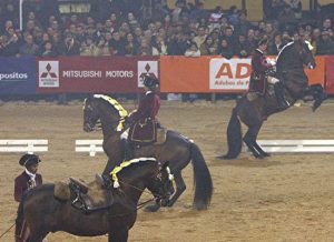 Andalusian and Lusitano Horses of Spain and Portugal