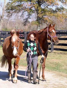 Life with Ria- Retraining the OTTB: Welcome Home