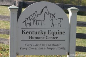 Horse community rescue