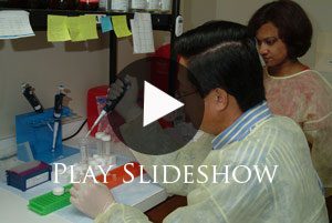 Virginia-Maryland Regional College of Veterinary Medicine Makes Research Advancements