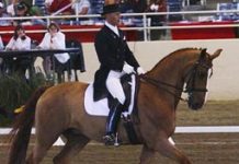Peters dressage