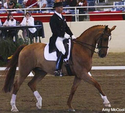 Peters dressage