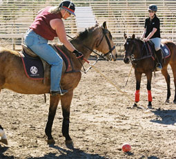 polo lesson