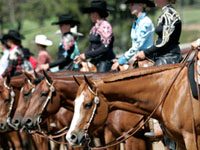 All American Quarter Horse Congress Underway QHShow