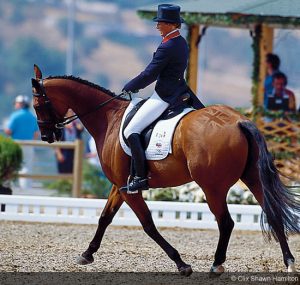 Horse quarter mark gallery 06