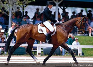 Horse quarter mark gallery 09