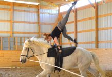 sarah willock airborne