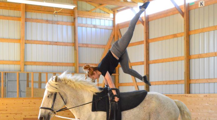 sarah willock airborne