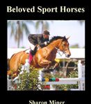 sport horses