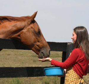 Treat Your Horse Right