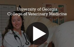 UGA’s College of Veterinary Medicine Focusing on Research and Technology UGA