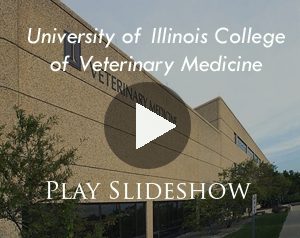 University of Illinois College of Veterinary Medicine to Open Chicago Teaching Hospital