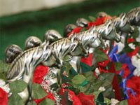 Arabian horse show season grand finale underway US Nationals