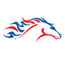 world equestrian games logo