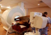 Alamo Pintado Equine Medical Center Profile horse body scanning