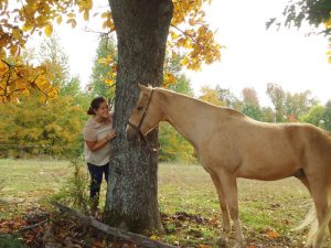 Your Horse Life: Graduation Day
