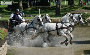 Meet the U.S. Combined Driving Team for the 2014 Alltech FEI World Equestrian Games