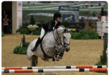 alltech natl horse show