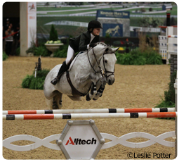 alltech natl horse show