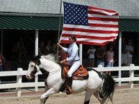 Equine Extravaganza will benefit wounded veterans charities this November american flag paint