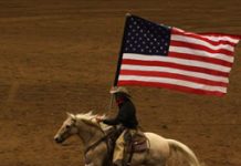Calling all artists: Create a tribute to the military horse american flag palomino