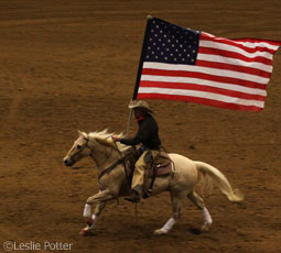 american flag palomino