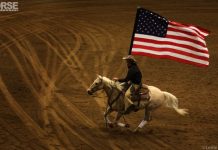 american flag palomino