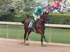 American Pharoah News and Video