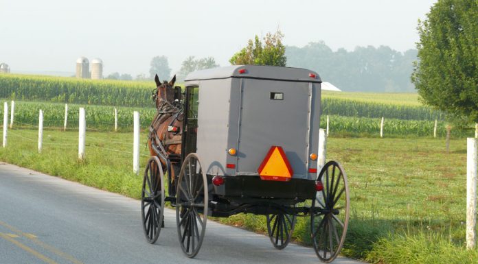 amish buggy