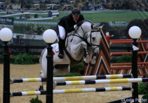 Hunters, jumpers and Saddlebreds share the spotlight at the Alltech National Horse Show