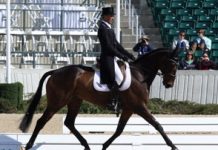 anicholson joe dressage
