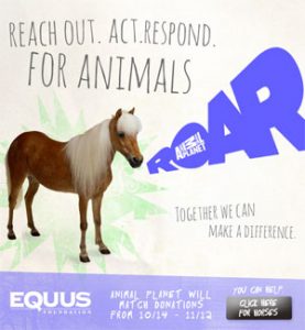Equine charity seeks support during Animal Planet’s ROAR campaign