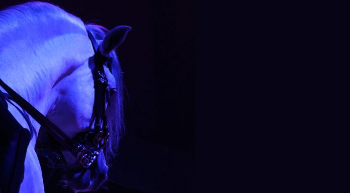 apassionata lusitano