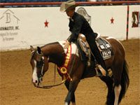apha world show