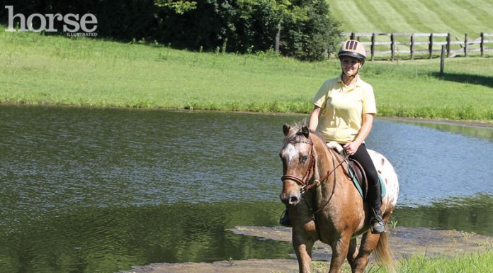 appaloosa trail ride