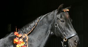 Are you and your horse ready for Halloween? poll halloween horse