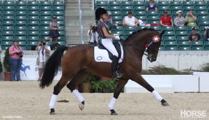 Put a Swoosh on Your Shadbelly