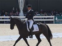 martin remi dressage