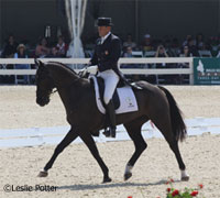 martin remi dressage