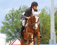 Voting now open for USEF Horse of the Year and Equestrian of the Year martin rolex