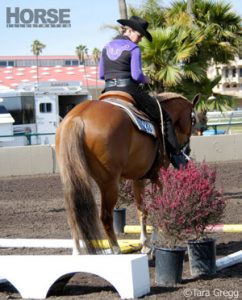 Ask the Expert: A Better Back-Through