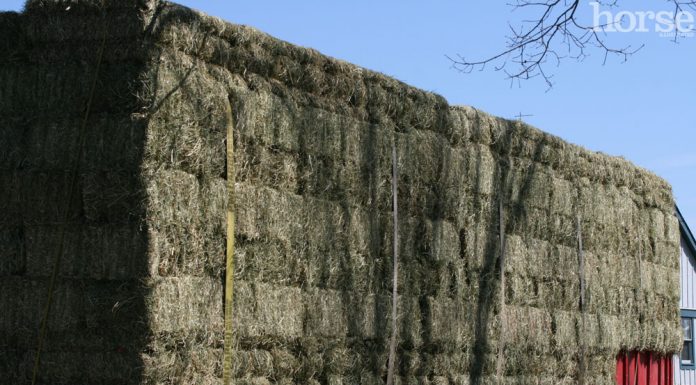 Truckload of hay