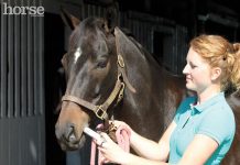 Administering Equine Medication banamine