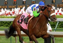 Documentary Marks Barbaro’s Fourth Birthday barbaro race
