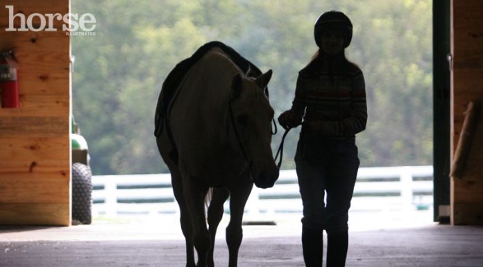 Horse with kid in barn aisle