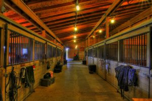 Fit Rider: Barn Aisle Workout