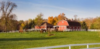 30 Time and Money Saving Tips barn full