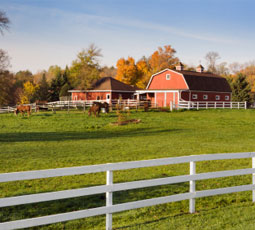 barn pasture
